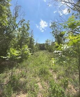 Wolfe Pecanlands Dev 28 - Land