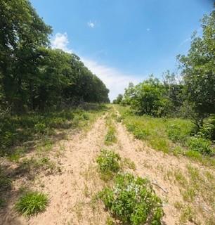 Wolfe Pecanlands Dev 28 - Land