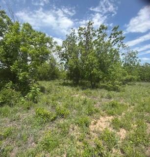 Wolfe Pecanlands Dev 28 - Land