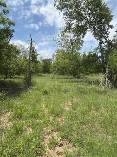 Wolfe Pecanlands Dev 28 - Land