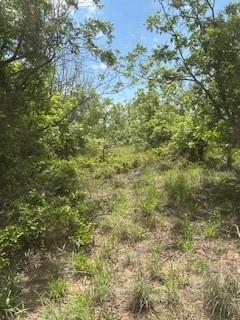 Wolfe Pecanlands Dev 28 - Land