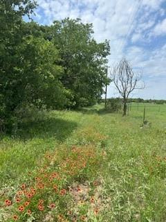 Wolfe Pecanlands Dev 28 - Land