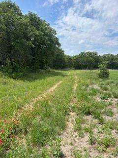 Wolfe Pecanlands Dev 28 - Land