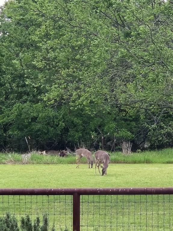 467 Wilderness Trail