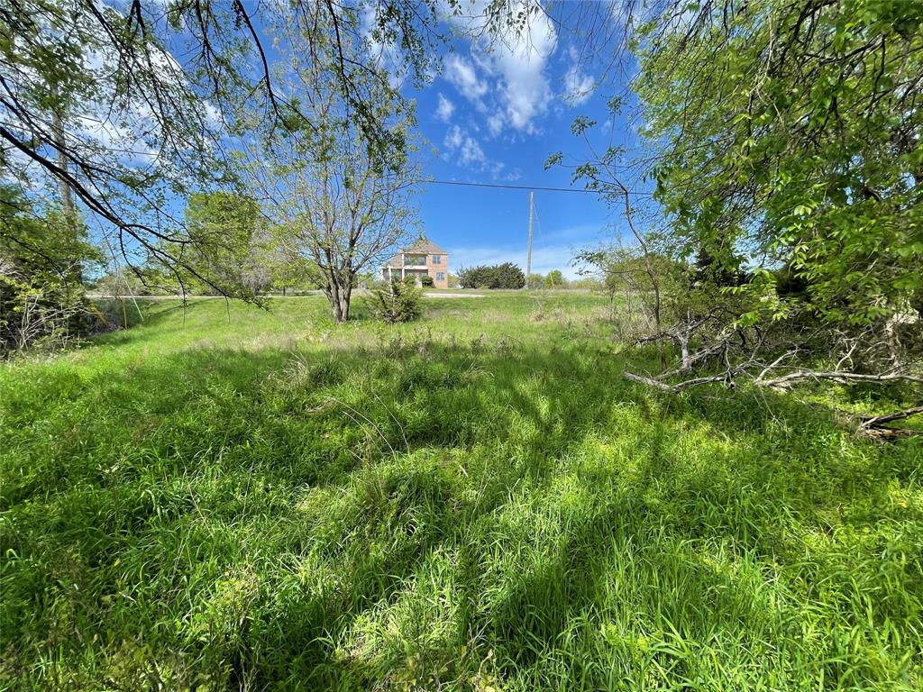 42097 Crooked Stick Drive