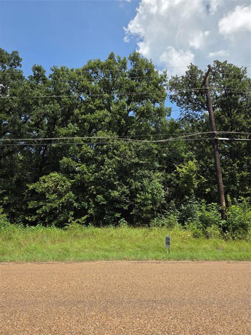 TREED LOT IN MOBILE-FRIENDLY COMMUNITY WITH ACCESS TO CEDAR CREEK LAKE! THIS BUILDABLE LOT IS READY FOR YOUR VISION. POA MEMBERSHIP GRANTS ACCESS TO COMMUNITY POOL, PARK, AND BOAT RAMP! CLOSE TO DINING, SHOPPING, AND CONVENIENCES.