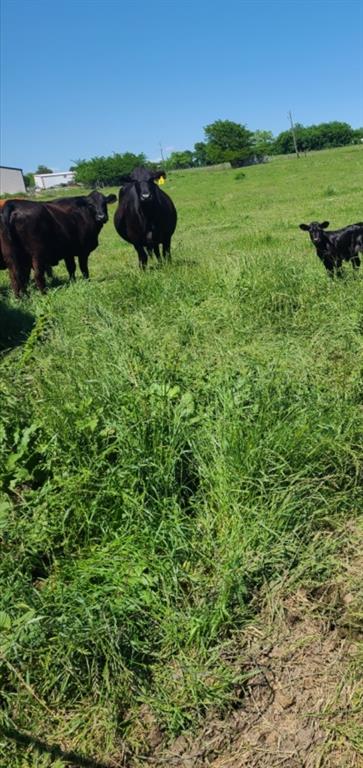 Heatherbrook Estates - Land