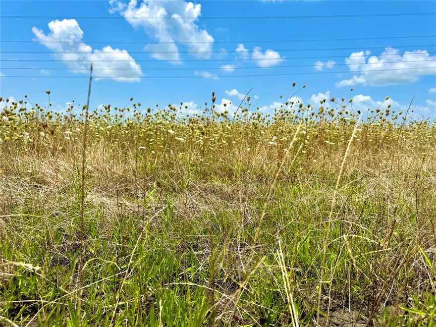 As low as 13K down. 

This is acreage living just East of Dallas that checks all of your boxes: 

? Water and power on-site

? Cleared and ready to build

? 109' of frontage on a major road

? Sensible deed restrictions to protect your value. 

? Less than an hour to Downtown Dallas

? Close to an hour away from the big city

It's time to leave the noise and crowds of the city behind. Let's go take a look at your new property!