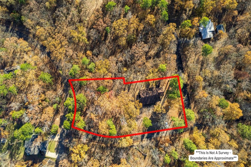 Tall Tree - Residential