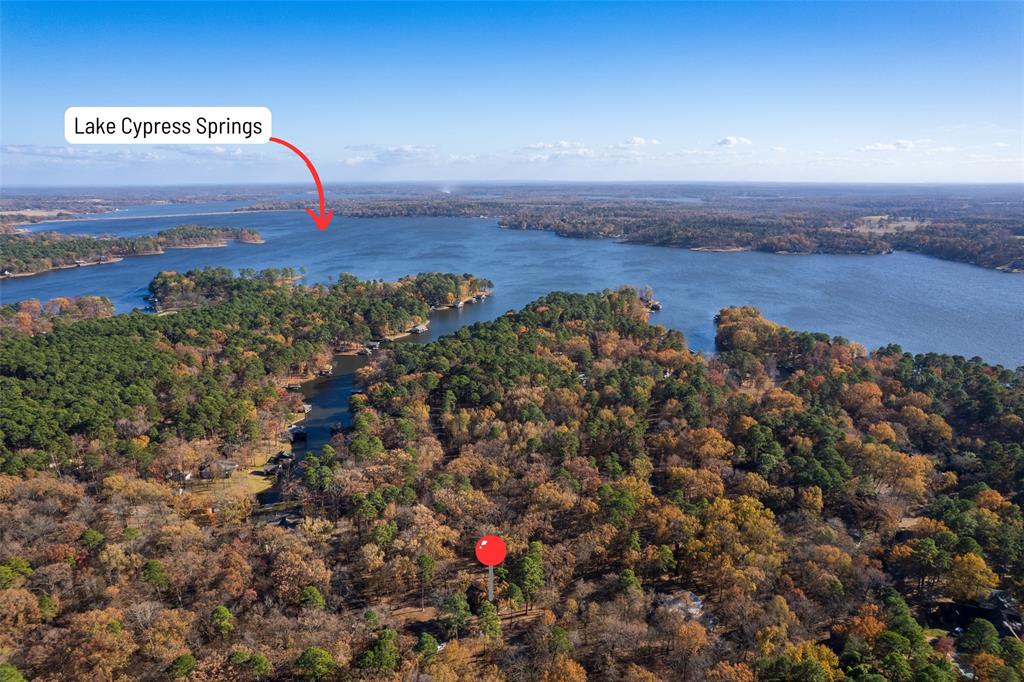 Tall Tree - Residential