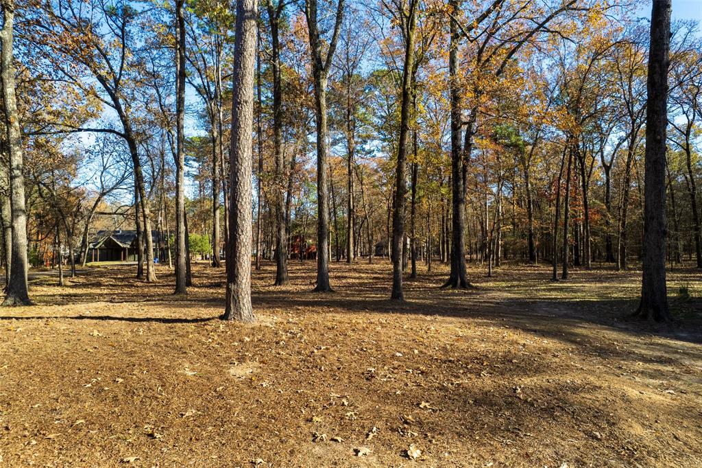 Tall Tree - Residential