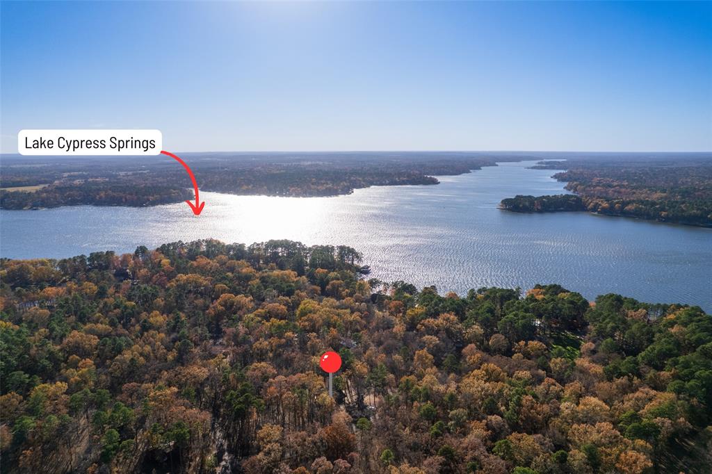 Tall Tree - Residential