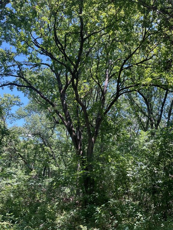 Replat Of Moin Add - Land