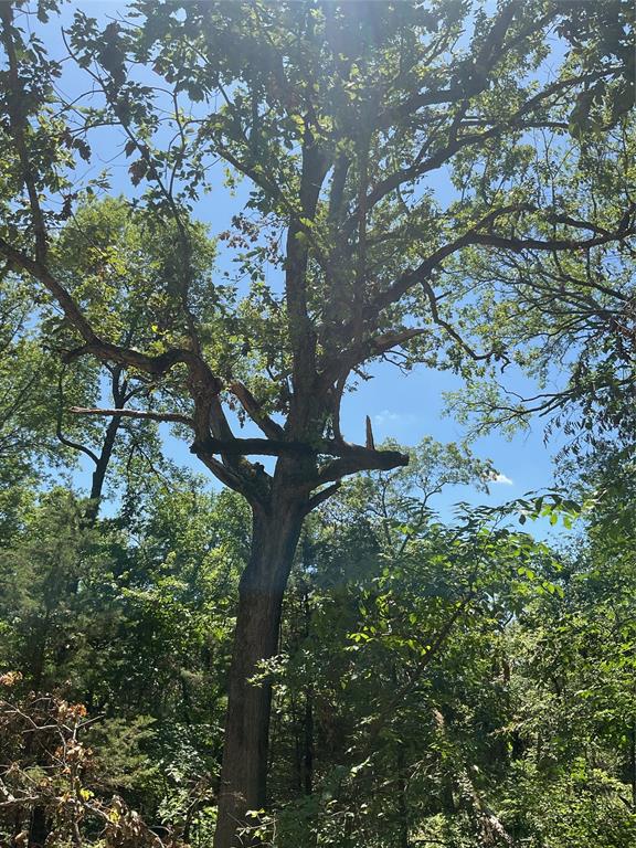 Replat Of Moin Add - Land