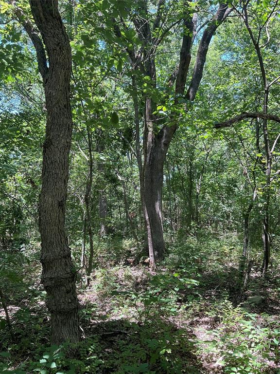 1433 County Road 3040