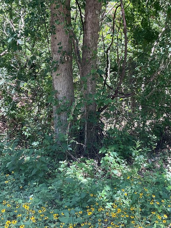 Replat Of Moin Add - Land