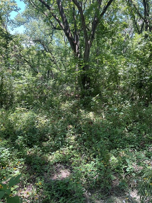 Replat Of Moin Add - Land