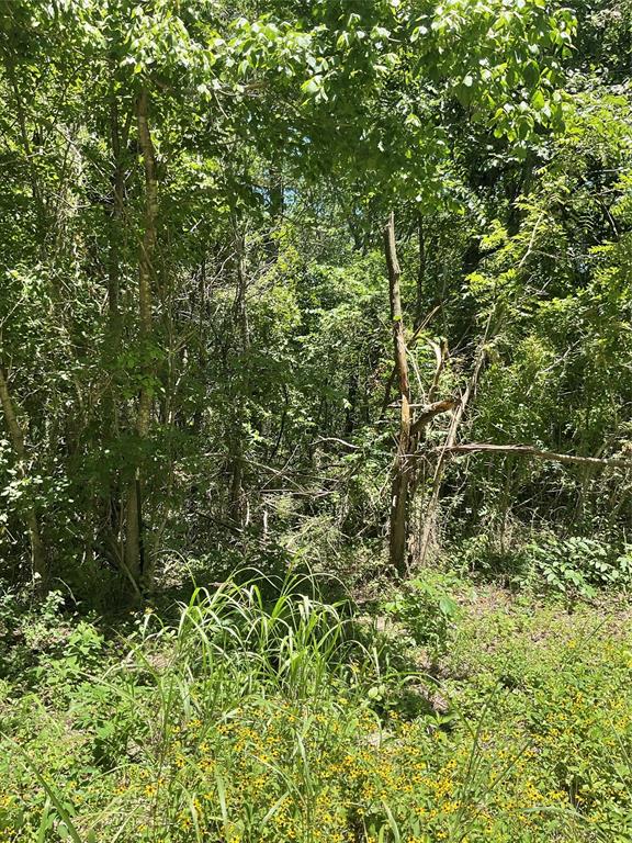 Replat Of Moin Add - Land