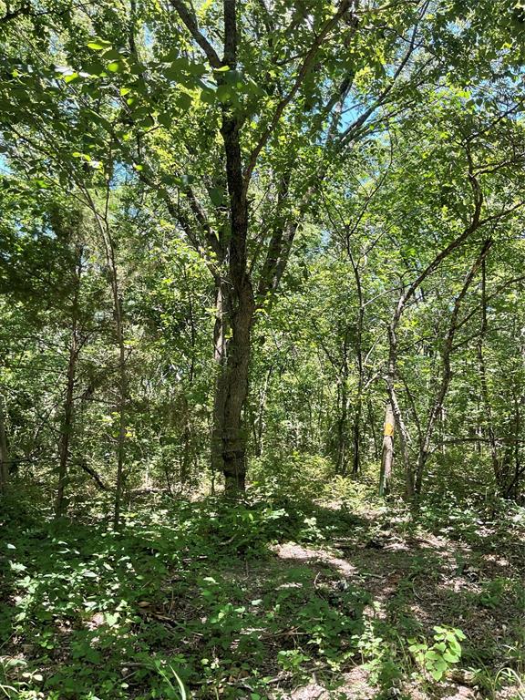 Replat Of Moin Add - Land