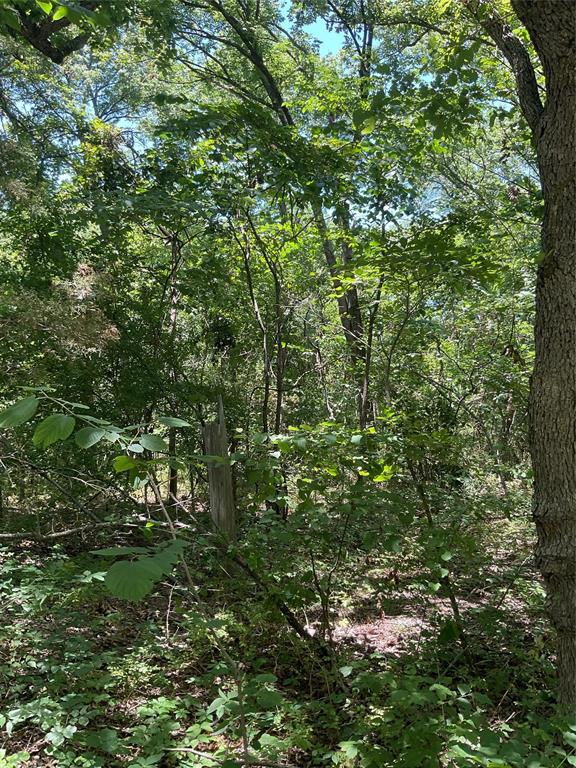 Replat Of Moin Add - Land