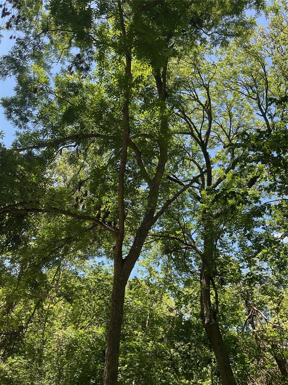 Replat Of Moin Add - Land