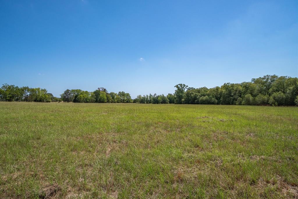 SUR: J W GUEST - Land