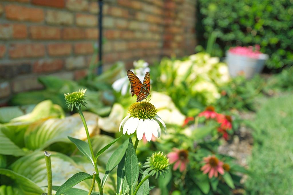 Preston Park 02 - Residential