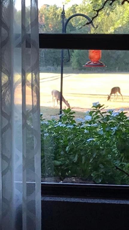 J. Tabor - Residential