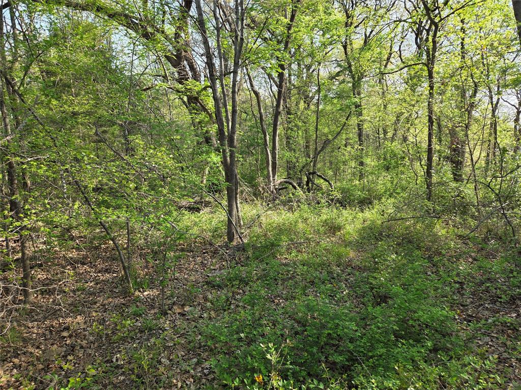 Arrowhead Sub - Land