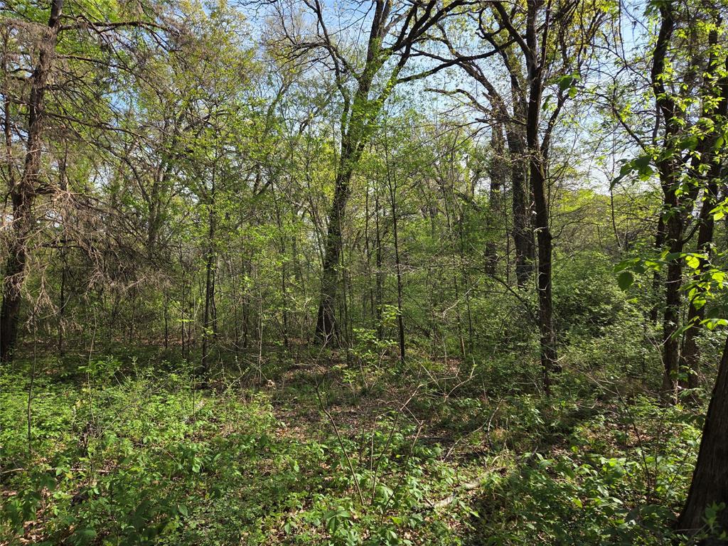 Arrowhead Sub - Land