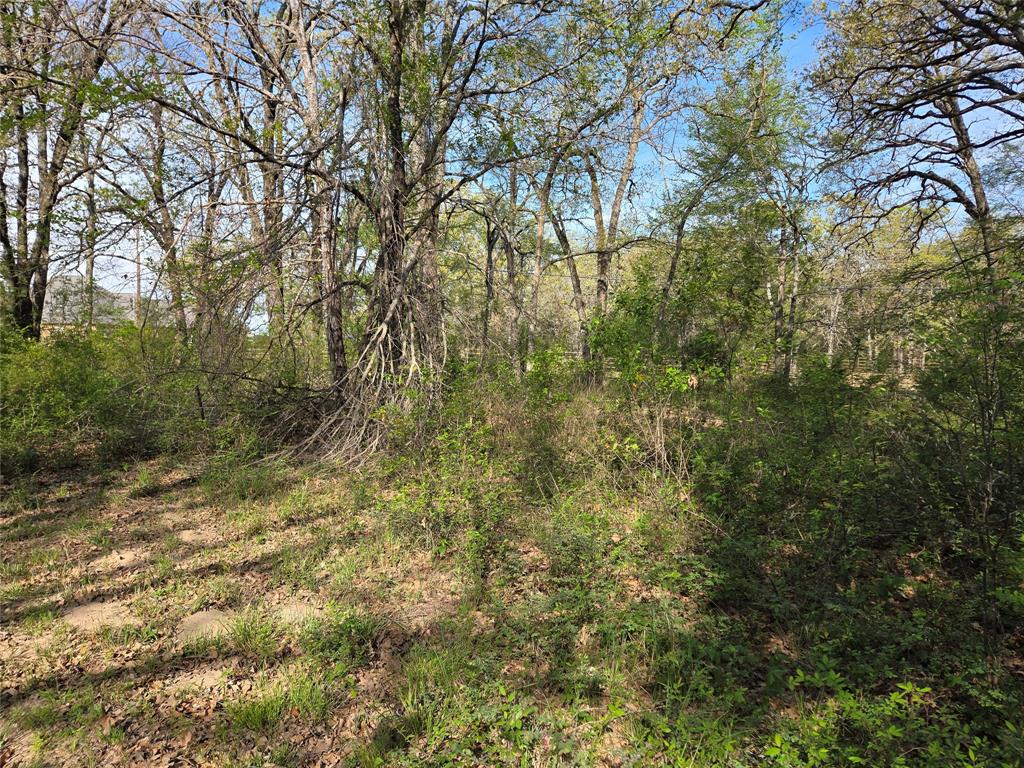 Arrowhead Sub - Land