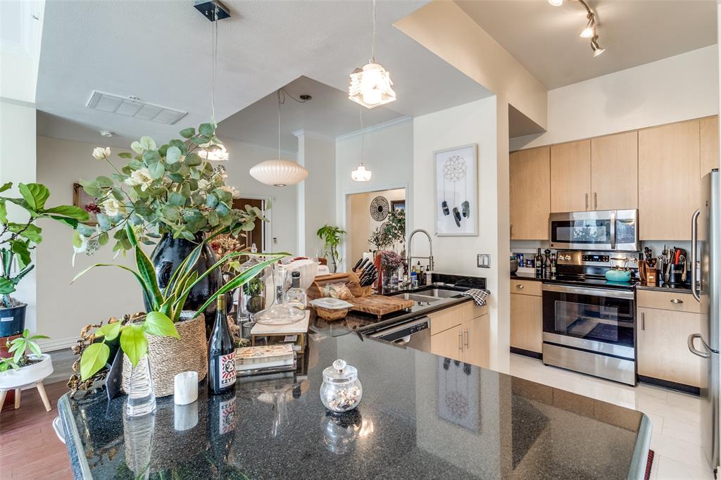 3225 Turtle Creek Boulevard 520