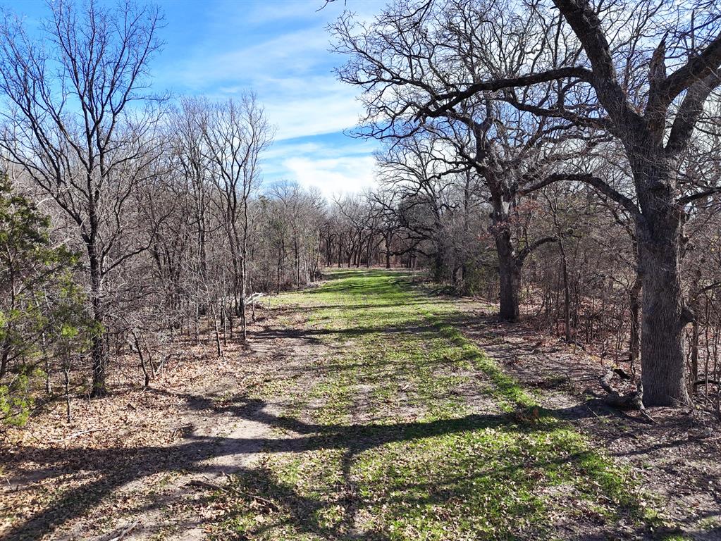 M OLDHAM - ABST 431 - Land