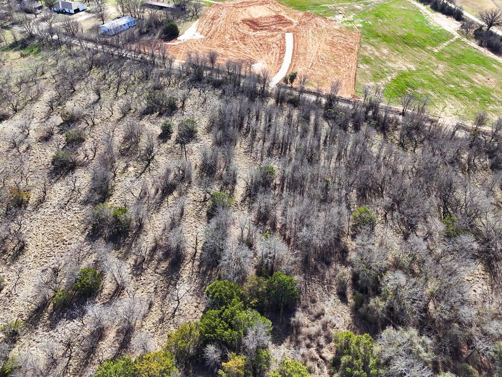 M OLDHAM - ABST 431 - Land