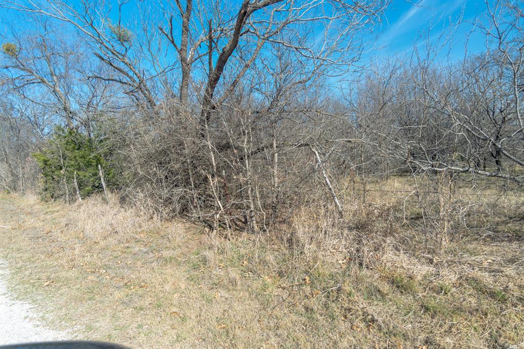 M OLDHAM - ABST 431 - Land