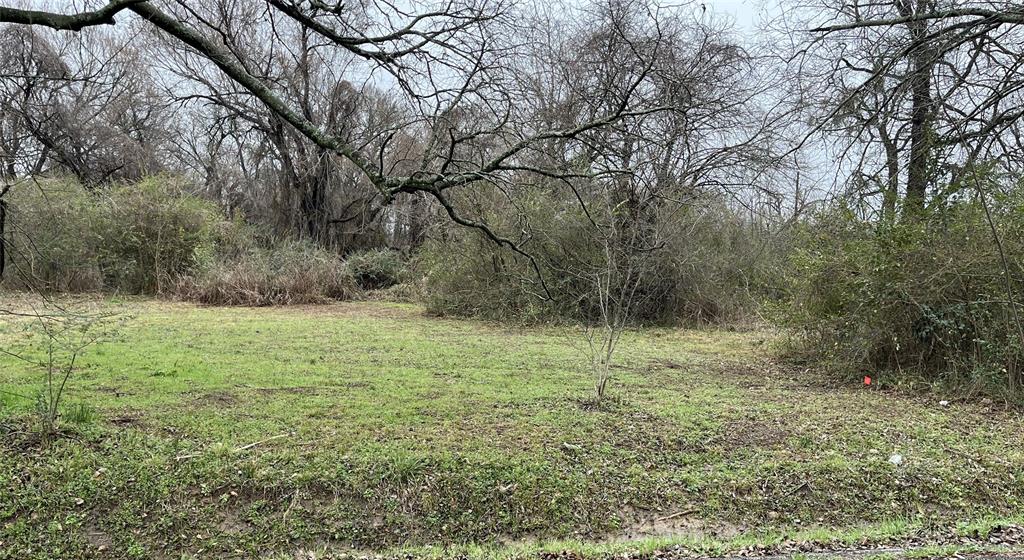 Washington Heights - Land