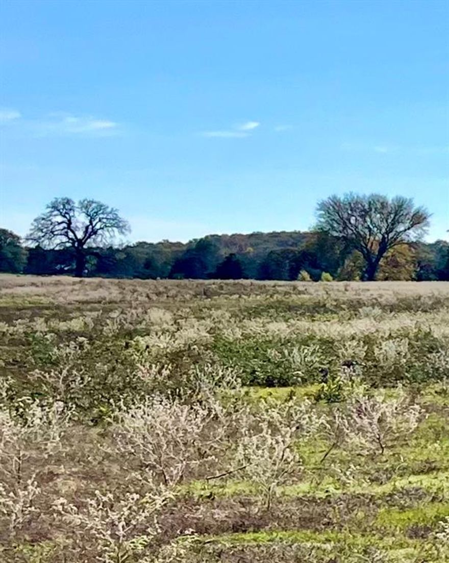 Centrally located 5 minutes from Lake Ray Roberts. Partially wooded property with beautiful hilltop views of sunrise and sunset.  Sandy loam soil, well draining property, touraine diversity. Access to 2 sides of paved Cheaney Road, east and north side access. 1 bedroom modern log cabin secluded in the woods on property. 2 Ponds, grazing pasture. Mountain Springs water, PenTex energy. Mineral rights convey with property. Survey is available. 10 minutes to Valley View, 20 minutes to Gainesville, 30 minutes to Denton, 20 minutes to Pilot Point.  




Professional photos coming soon.