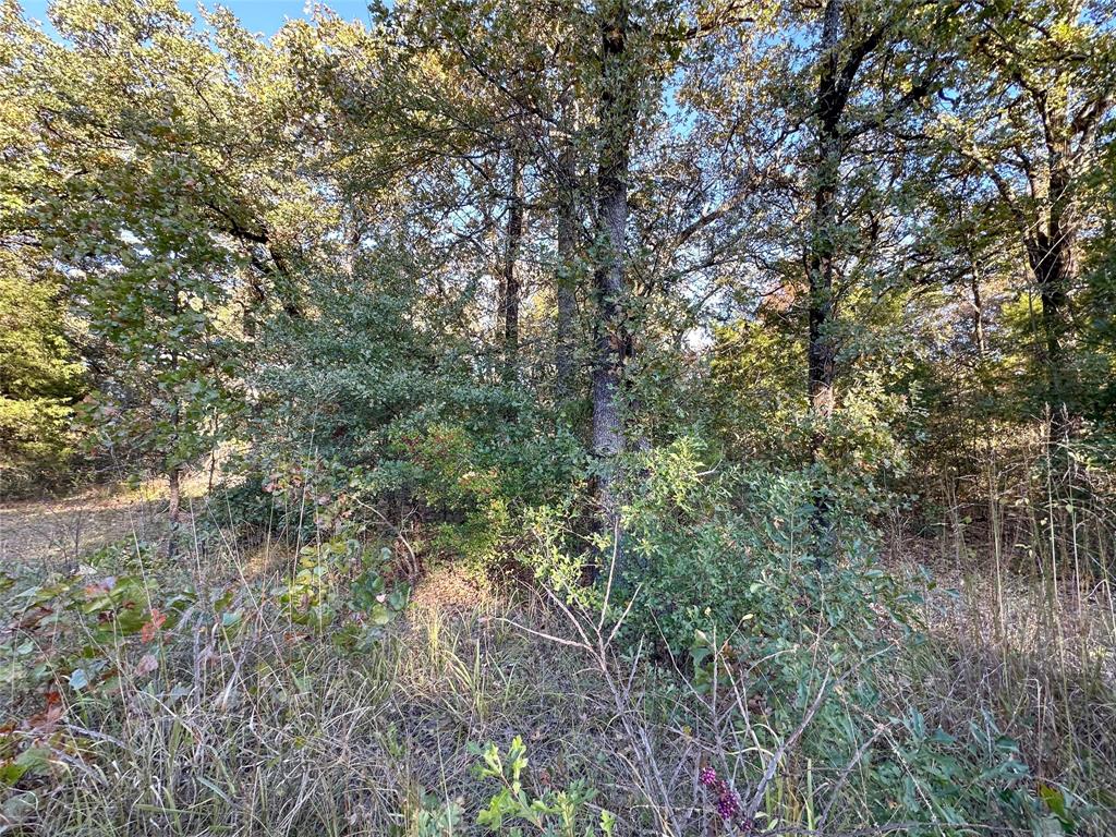 Cherokee Shores - Land