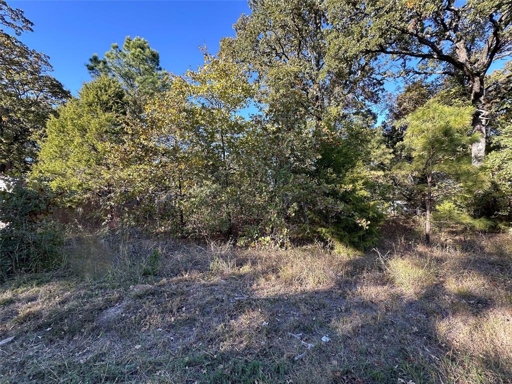 Cherokee Shores - Land