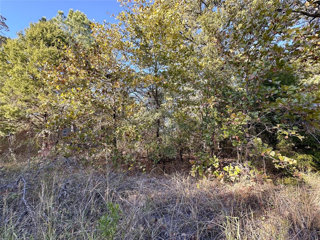 Cherokee Shores - Land