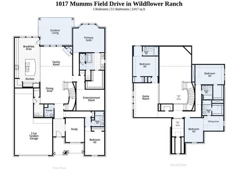 1017 Mumms Field Drive Fort Worth TX 76247