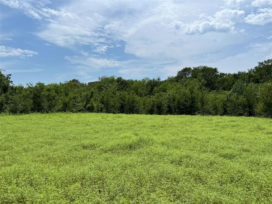 Discover the beauty of nature on this enchanting 18-acre property, a secluded haven with a serene pond and an abundance of majestic trees. Complete with electricity and water, this blank canvas offers endless opportunities to create your dream estate, weekend retreat, or agriculture oasis. Embrace the charm of country living, where the possibilities are as vast as the landscape that surrounds you. Whether looking to build, hold for the future, or use for agriculture, this is a great place! 

Mobile home conveys with property and is currently uninhabitable. Buyer and Buyers agent to verify all information.