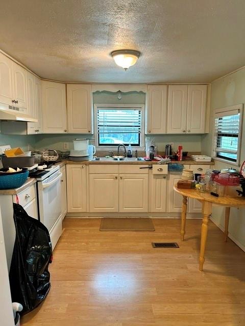 Whiskers Retreat - Residential