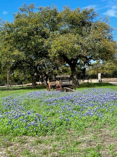 Settlers Ranch - Land
