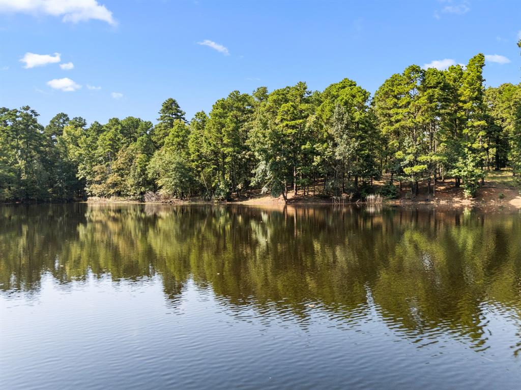 1081 County Road 3875