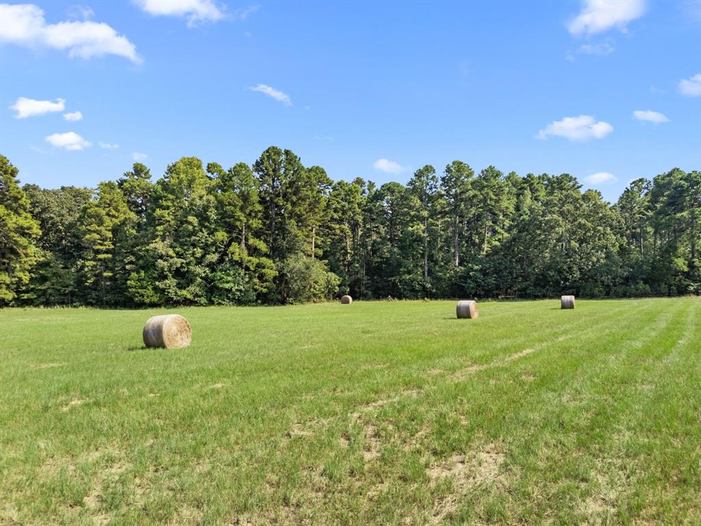 1081 County Road 3875