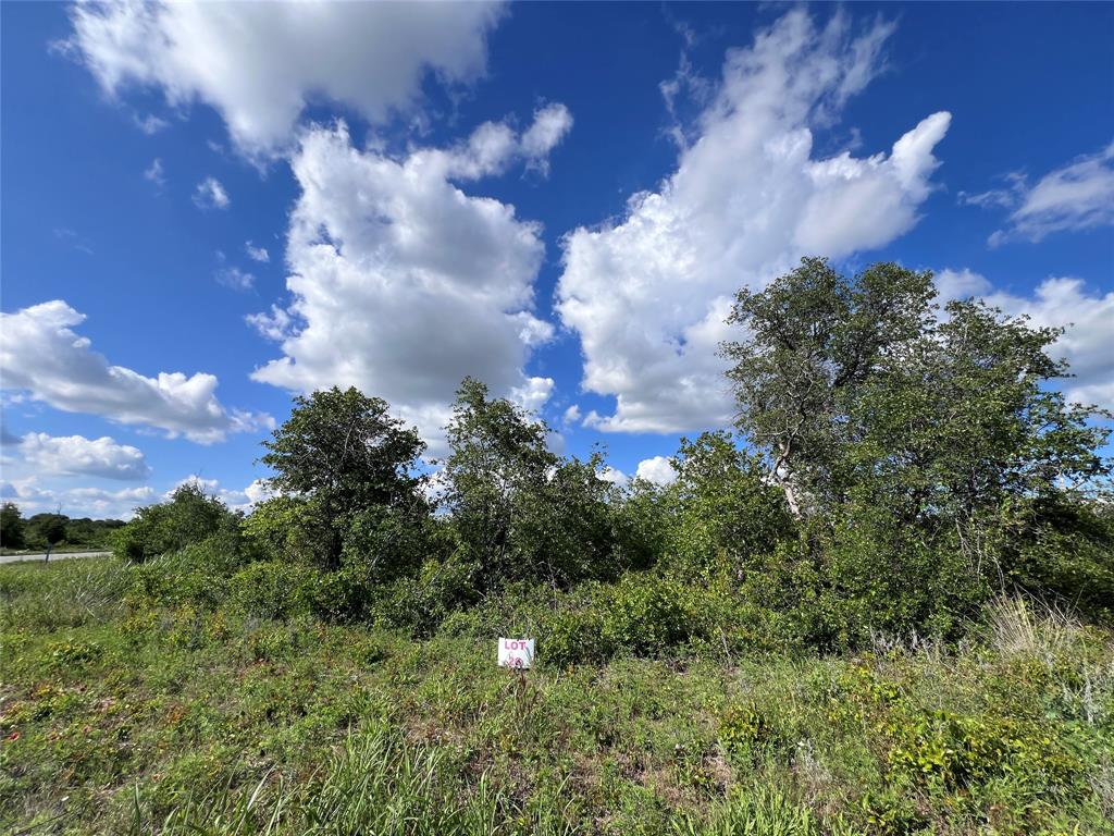 TBD LOT 26 Live Oak Trail