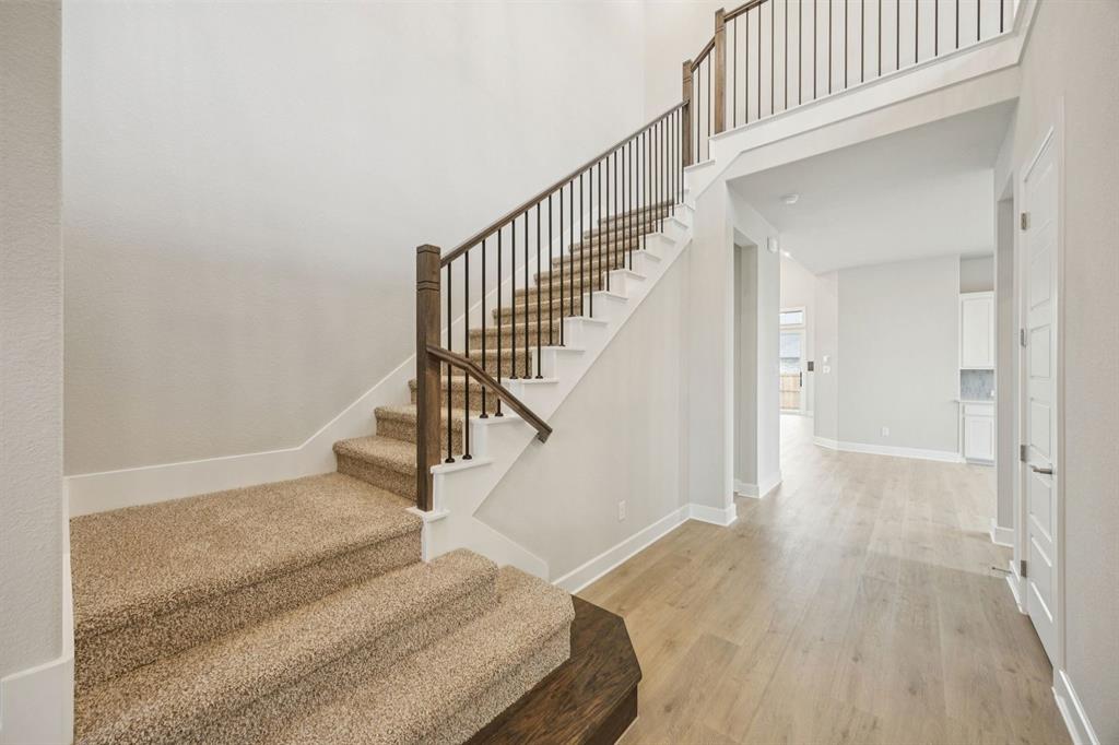 9206 Emory Oak