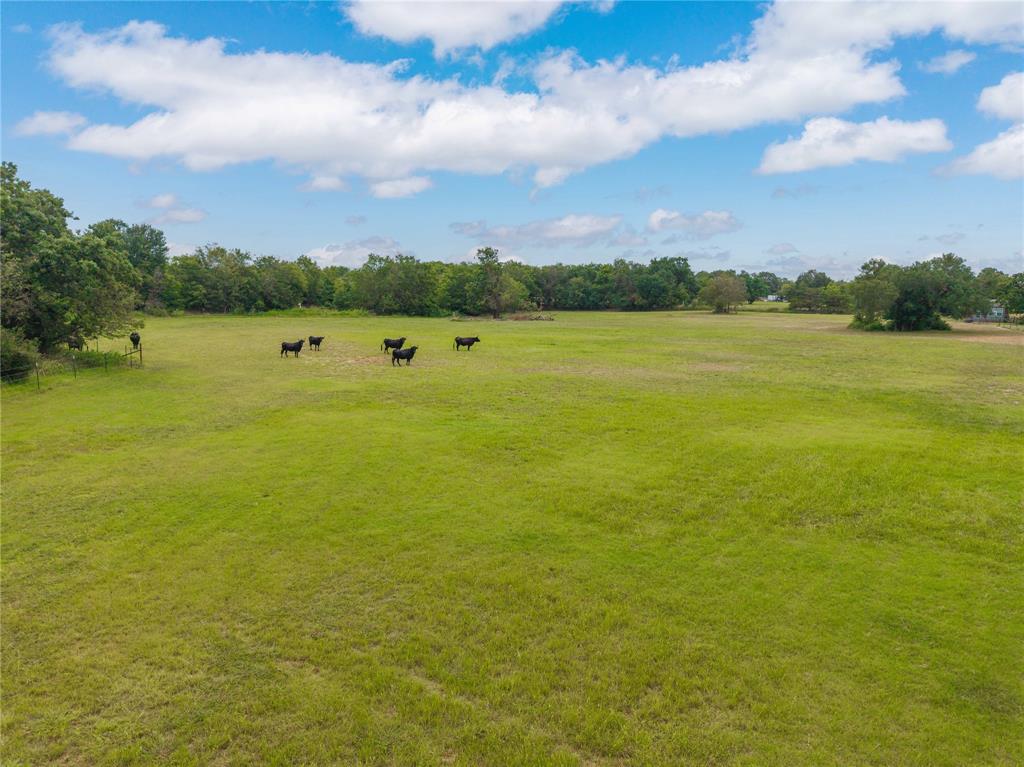 Central Deleon - Residential