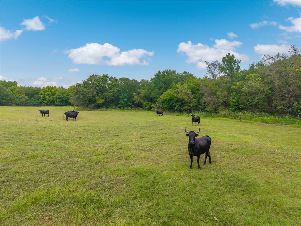 Central Deleon - Residential